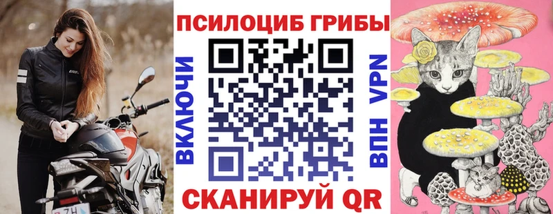 дарнет шоп  Ивдель  Галлюциногенные грибы мицелий 