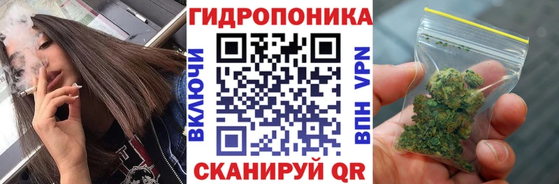 Бошки марихуана сатива  Ивдель 
